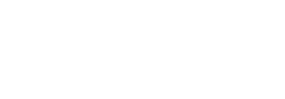 ゑびす連